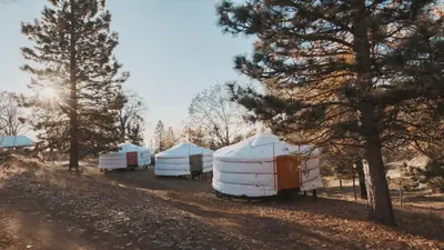 a group of domes parked in a field next to trees at Cosy yurt at a nature retreat in Miramonte