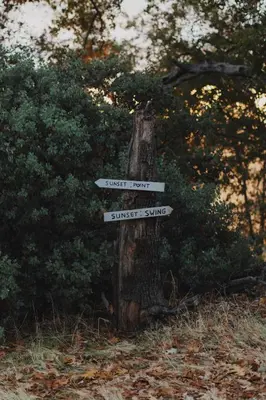 a sign with three signs on a tree stump at Cosy yurt at a nature retreat in Dunlap CA in Miramonte