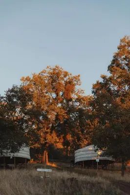 a couple of boats parked next to some trees at Cosy yurt at a nature retreat in CA in Miramonte