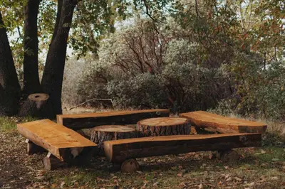 a group of wooden benches sitting next to a tree at Glamping yurt at a nature retreat near Sequoia in Miramonte