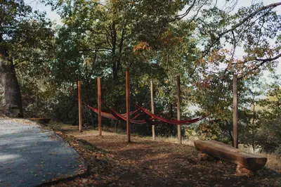 a hammock in a park next to a road at Secluded rustic 2-bedroom cabin on nature retreat in Miramonte