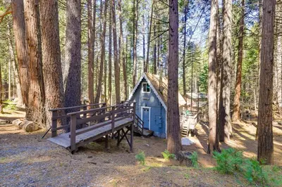 a blue cabin in the middle of a forest with a bench at Hike, Ski and Sip Arnold Cabin 4 Mi to State Park! in Arnold