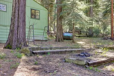 a green house with a bench next to a tree at Stay Near Big Trees, Bring Your Pets Arnold Cabin in Arnold