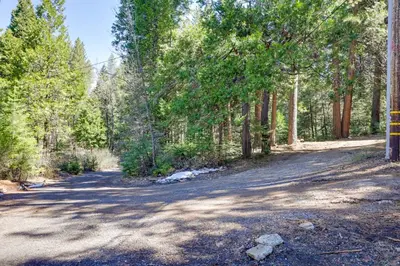 a dirt road with trees on both sides at Stay Near Big Trees, Bring Your Pets Arnold Cabin in Arnold
