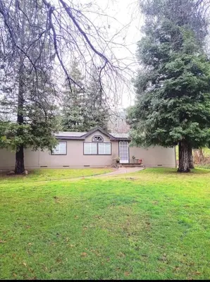 a house with two trees in a yard at Sequoia Eagle Nest in Three Rivers
