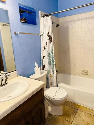 a bathroom with a toilet and a sink and a shower at CYH1281- Tahoe Acres home in South Lake Tahoe
