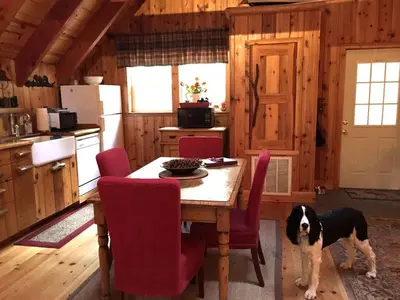a dog standing next to a table in a kitchen at Traditional Log Cabin Rental for Couples on the West Shore of Lake Tahoe, California in Tahoe City