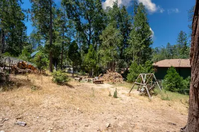 a yard with trees and a building in the background at Immersed in Nature Manzanita Cabin with Hot Tub in Oakhurst