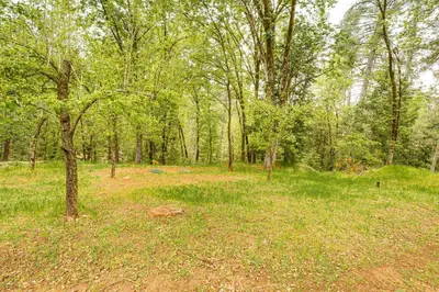 a field of grass with a tree in the middle at Hidden Valley Retreat - Outdoorsy West Point Gem in West Point