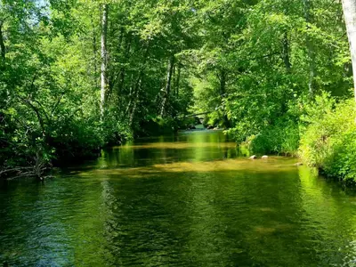 a river with green water and trees on the side at Green Meadows at Sky Ranch, 13 miles from Yosemite in Oakhurst