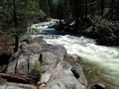 a river with some rapids and rocks in the water at Spacious Riverfront Cabin Rental Perfect for Large Groups near Sonora, California in Strawberry