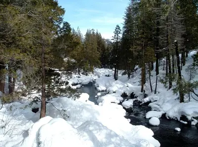 a river covered in snow next to some trees at Spacious Riverfront Cabin Rental Perfect for Large Groups near Sonora, California in Strawberry