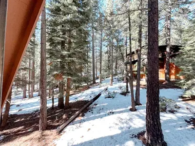 a view of a cabin in the woods in the snow at Fabulous Glamping Spot in Truckee, California: Charming Cabin near Lake Donner in Truckee
