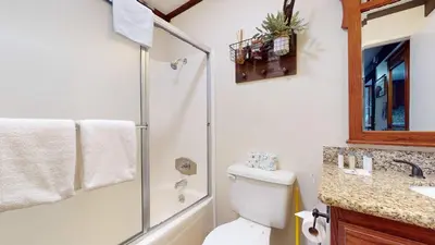 a bathroom with a shower and a toilet and a sink at Canyon Ski Gateway Condo for 4 in Mammoth Lakes