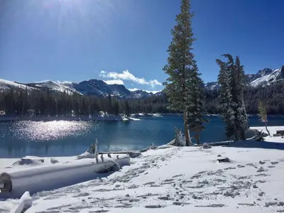 a snow covered lake with a tree and mountains at Horizons 4 - Year-Round Outdoor Activities in Mammoth Lakes