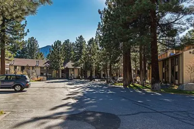 a tree lined street with a car parked on the road at Horizons 4 - Excellent for Groups in Mammoth Lakes