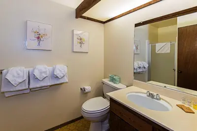 a bathroom with a toilet and a sink and a mirror at Horizons 4 - Pool & Hot Tub Access in Mammoth Lakes
