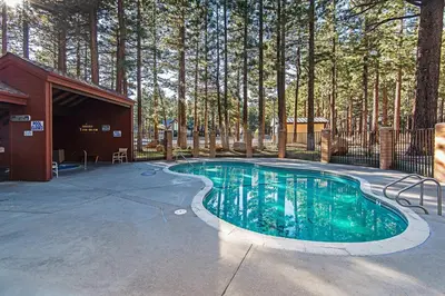 a swimming pool in the middle of a yard with trees at Winterset #18 Shared Pool & Near Skiing in Mammoth Lakes