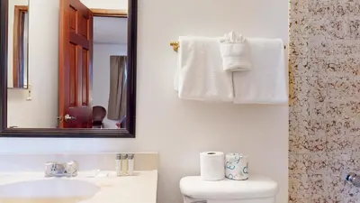 a bathroom with a sink and a mirror and a toilet at Mammoth Hygge - Centrally Located in Mammoth Lakes