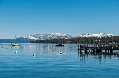 a lake with a bunch of birds in the water at West Lake Serenity with 180-Degree Lake Views in Homewood