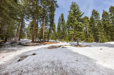 a path in the snow in a forest at Bright & Modern Cabin Luxury Home in Carnelian Bay in Carnelian Bay