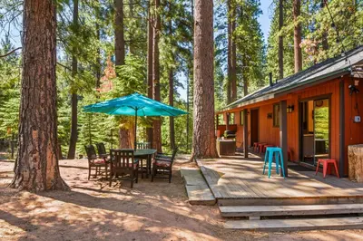 a cabin in the woods with a table and umbrella at Incline Bliss Dreamy Pet Friendly Escape in Incline Village