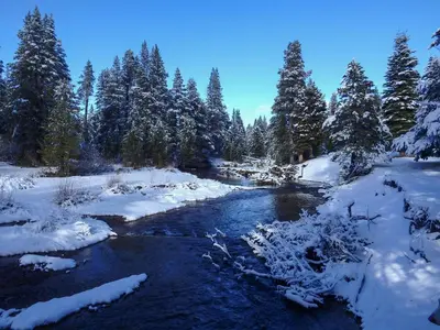 a river covered in snow with trees in the background at Lux Leisure Game Room & More in Truckee
