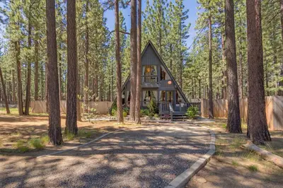 a tree house in the middle of the forest at Heavenly Hollow in South Lake Tahoe