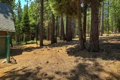 a picnic table in the woods with trees at Bear Pause 4BR - Large Deck & Balcony in South Lake Tahoe
