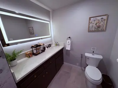a bathroom with a toilet and a sink and a mirror at Downtown-Pool,Firepit,Trees, WFH-No gate fee like PML in Groveland