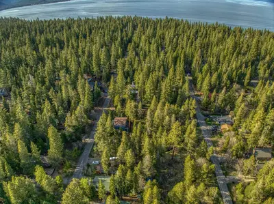 an aerial view of a forest of trees at Tahoma Family Getaway with Bocce Ball & BBQ Grill in Tahoma