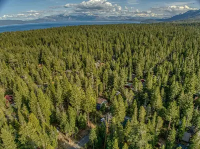 an aerial view of a forest of trees at Tahoma Family Getaway with Bocce Ball & BBQ Grill in Tahoma
