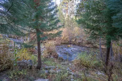 a stream in the middle of a forest with trees at Fully Renovated 3Bd at Yosemite's South Gate in Fish Camp