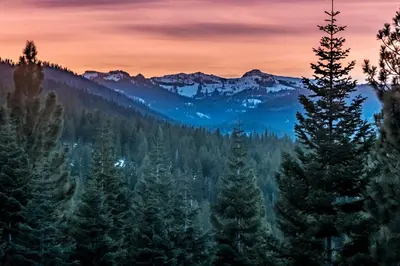 a view of a forest with trees and mountains at Serenity at Tahoe Donner with Large Balcony in Truckee