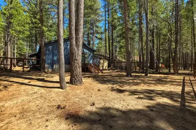 a black tent in the woods with trees at Willow's Hideaway - Pet Friendly Cozy Cabin in South Lake Tahoe
