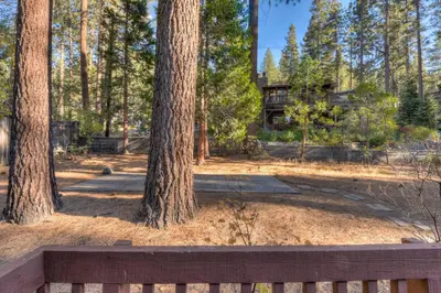a wooden bench in a park with trees at Zephyr Cove Cabin - Walk to Lake & Beach in Zephyr Cove