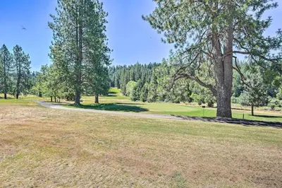 a dirt road in a park with trees at Beautiful Large close to Skiing / Wine Tasting! in Pioneer