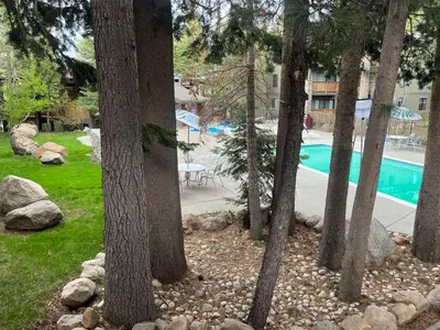 a group of trees and a swimming pool in a yard at Eagle Summit Collection in Mammoth Lakes