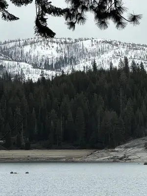 a snow covered mountain with trees and a lake at Bear Meadow Cabin at Shaver Lake in Shaver Lake