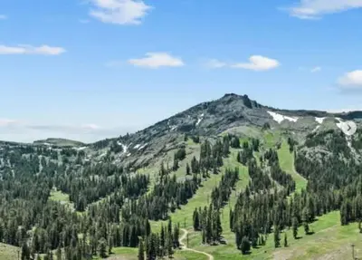 a view of a mountain with trees in the foreground at Super-Efficient Studio with Full Kitchen Balcony & Smart Sleeping Options in Kirkwood