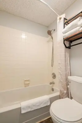 a bathroom with a white tub and a toilet at Modern Kirkwood One Bedroom with Deck in Kirkwood