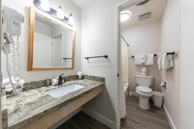 a bathroom with a sink and a toilet and a mirror at 234 Bldg C condo in Truckee