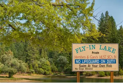 a sign that reads fly in lake with a tree at Cozy Cabin - Hot Tub, Fire Pit, & Pets in Arnold