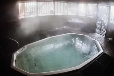 a bath tub with a zebra in it at Chamonix #093 - Near Skiing Hiking & More in Mammoth Lakes