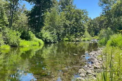 a river with rocks and trees on the side at Serene Riverfront Home - 150 yds from the River in Three Rivers
