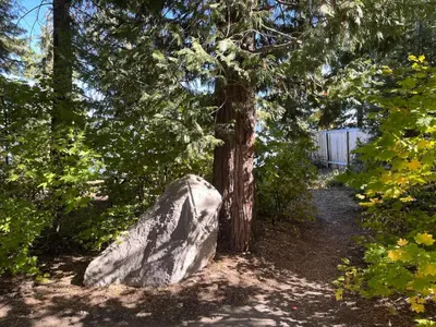 a large rock sitting next to a tree at Walk to Lake West Shore Cabin Hot Tub DogOK EVplug in Homewood