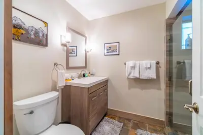 a bathroom with a toilet and a sink and a shower at Tranquil Stay Sauna, Rooftop and Nature Views in Incline Village