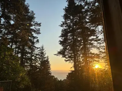a view of the ocean from a window with trees at Redwoods Oceanview Retreat