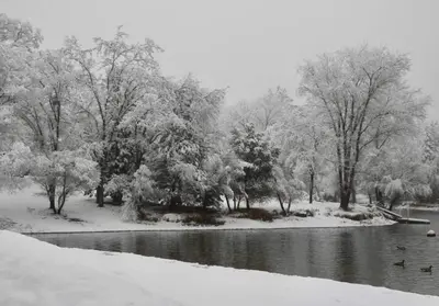 a snow covered park with trees and a river at Yosemite family getaway w lake, golf, horses, pool in Groveland