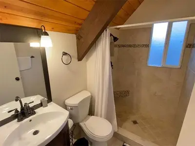 a bathroom with a toilet and a sink and a shower at 2708 Springwood Drive cabin in South Lake Tahoe
